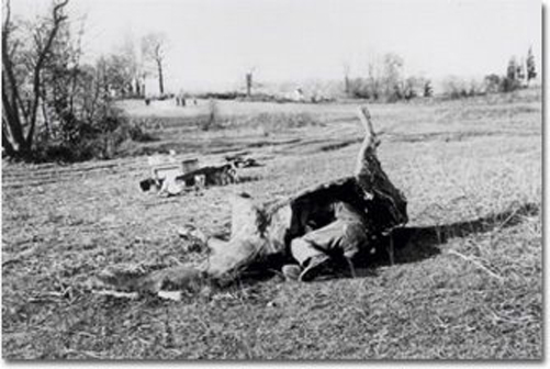 French observer in a fake horse carcass.