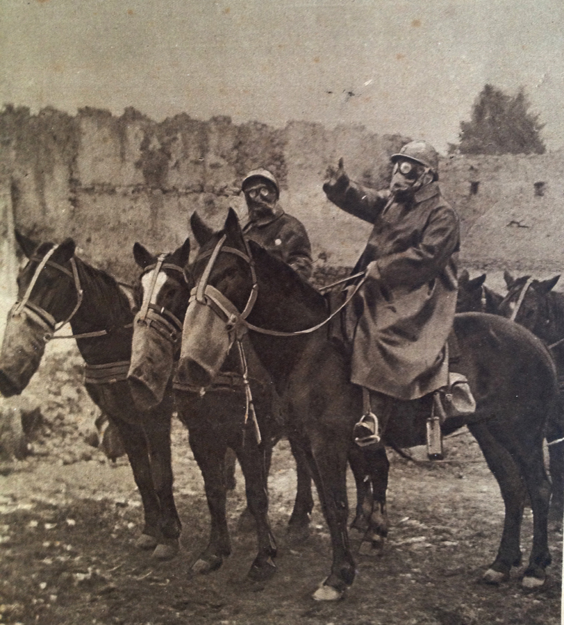 The wide use of gas at the front necessitated the use of gas masks for animals as well. July 1917.