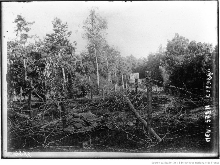 The bodies of those cut down in the barbed-wire.