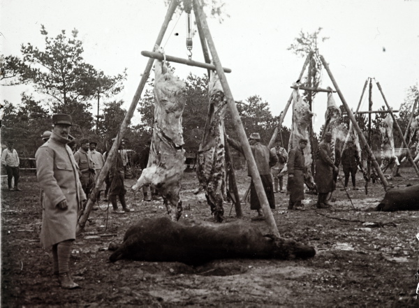 French butchers in the field. 