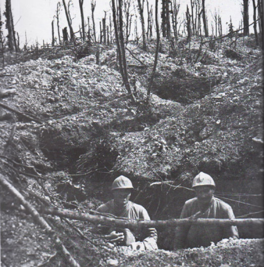 Communication trench in the Argonne.