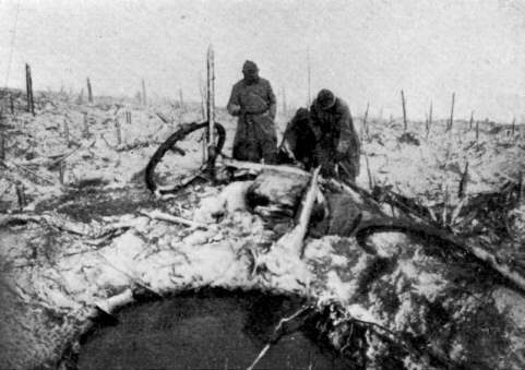 The destruction around Haudraumont Wood (Verdun).