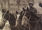 The wide use of gas at the front necessitated the use of gas masks for animals as well. July 1917.