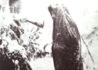 A sentinel stands watch at a loop-hole in the mountainous Vosges region (La Fontenelle). Photo taken by Frantz Adam, 1915.