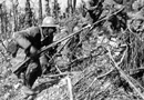 Combat photo of French troops (possibly 152 RI) advance up the scarred slope of a hill in the Argonne.