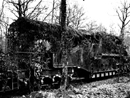 A massive rail gun camouflaged in the woods.