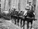 A wine ration is brought up along a small-gauge rail, pulled by a team of horses.