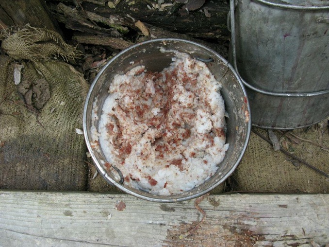 Rice and monkey meat, November 2011.