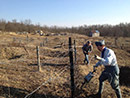 151e members work on the weekend outside of reenactments to maintain their positions. Work weekend, October 2014.