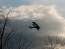 A plane flies over the darkened tree tops, November 2006.