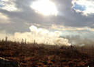 Smoke shells land on the German lines in advance of a French feint attack. Newville, November 2013.