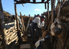 Members of the 151 repairing a trench wall. Newville, November 2013.