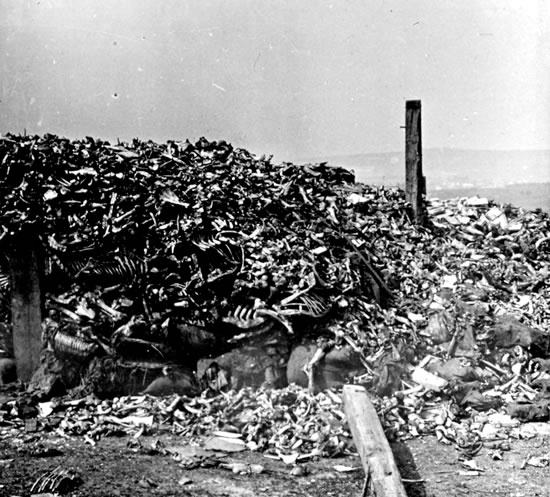 Piles of human remains collected just after the war for interment in the temporary ossuary at Douaumont, Verdun. 