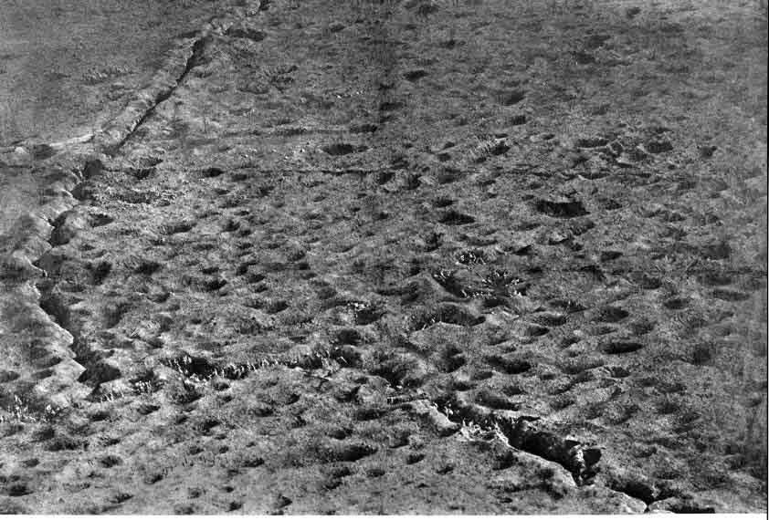 A trench occupied by a French unit. 