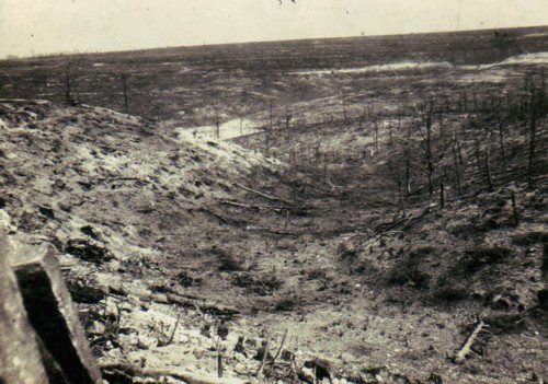 Showing the effect of artillery bombardments on the once wooded heights north of Verdun.