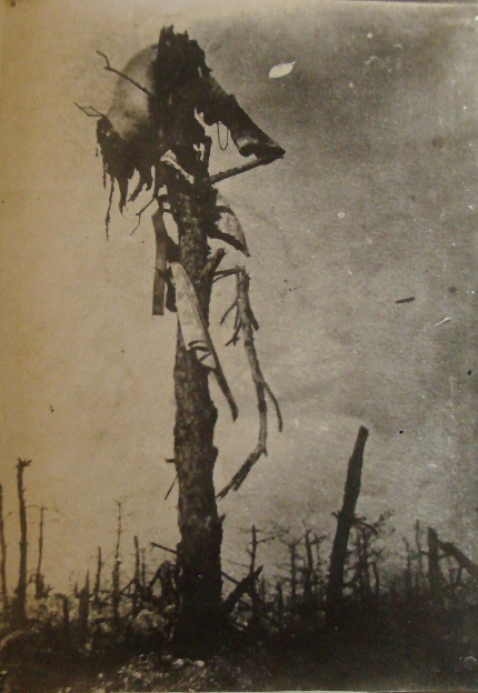 A human leg blasted into the air by a shell, hangs macabrely from a tree.