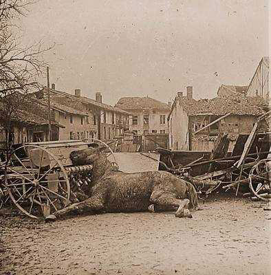 An impromptu barricade constructed on carts and a horse carcasse.