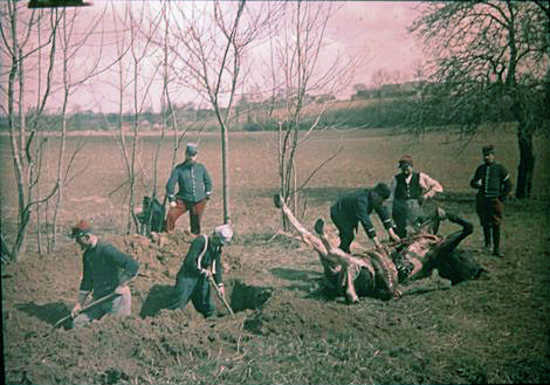 Calvary troopers detailed to bury a horse, 1914.