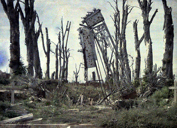 The remains of a once decorative piece of ironwork stands amongst the mutilated trunks of trees and flanked by two solitary crosses.