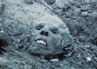 An incredible image of a mummified skull of a German soldier lying beside unrecognizable remains at Bois du Sommet (Somme). Photo taken by Loy Roux, Sept. 1916.