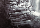 French dead laid out in a mass-grave awaiting burial. Photo taken by Frantz Adam, July 1918.