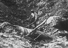 A soldiers stands in the bottom of a crater made by a large caliber shell.