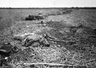 A soldier slain beside a hastily constructed rifle-pit at Muy-en-Multien (Marne).