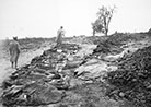 French dead collected for burial at Rancourt (Somme) in September 1916. 