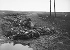 French soldiers slain at Rancourt (Somme) in September 1916.