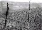 Showing the effect of artillery bombardments on the once wooded heights north of Verdun.