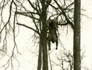 Another soldier blown into a tree by a shell blast.