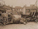 An impromptu barricade constructed on carts and a horse carcasse.