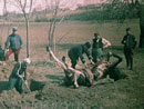 Calvary troopers detailed to bury a horse, 1914.