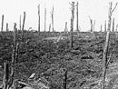 Verdun, 1916.