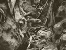 Chasseurs looks on a morbid scene after having conquered a German trench at Le Linge, Vosges.